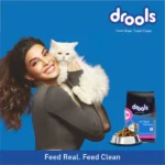 Drools Ocean Fish Dry Food for Kittens and Cats - Image 3