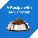 Drools Ocean Fish Dry Food for Kittens and Cats - Image 5