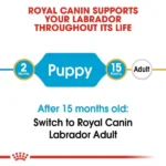 Dry food for Royal Canin Labrador Retriever puppies - Image 6
