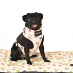 Every Flavour of Harry Potter  Dogs' Bean Harness - Image 3