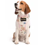 Every Flavour of Harry Potter  Dogs' Bean Harness - Image 4
