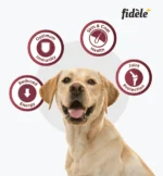 Fidele Plus Dry Food for Light and Senior Dogs - Image 4