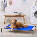 Fluffy's Adorable Waterproof Dog Camp Bed with Elevated Sides(Blue) - Image 2