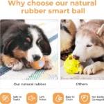 For Medium Chewers, Cheerble Wicked SE Ball Toy for Dogs (Orange) - Image 3