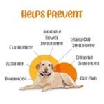 For dogs and cats, Vivaldis Entero Secure BD Tablet - Image 3