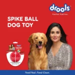 For dogs and puppies who chew aggressively, Drools Non-Toxic Rubber Stud Spike Hard Ball Chew Teething Toy - Image 4