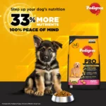 For large breed puppies aged three to eighteen months Pedigree PRO Expert Nutrition Dry food for dogs - Image 6