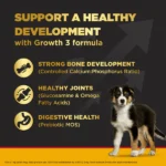 For large breed puppies aged three to eighteen months Pedigree PRO Expert Nutrition Dry food for dogs - Image 5