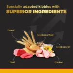 For large breed puppies aged three to eighteen months Pedigree PRO Expert Nutrition Dry food for dogs - Image 4