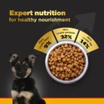 For large breed puppies aged three to eighteen months Pedigree PRO Expert Nutrition Dry food for dogs - Image 3