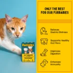 Furlicks Dog and Cat Gut Health Supplement - Image 2