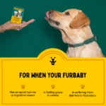 Furlicks Dog and Cat Gut Health Supplement - Image 4