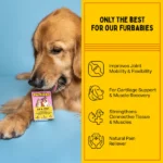 Furlicks Supplement for Dogs and Cats' Hips and Joints - Image 3