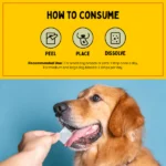 Furlicks Supplement for Dogs and Cats' Skin and Coat - Image 2