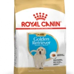 Golden Retriever Puppy Dog Dry Food by Royal Canin