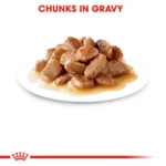 Instinctive Adult Gravy Cat Wet Food by Royal Canin - Image 4