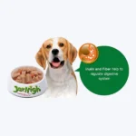 JerHigh Gravy Dog Wet Food with Chicken and Vegetables - Image 4