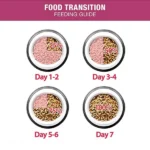 Me O Adult Dry Food for Persian Cats - Image 4
