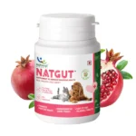 Natural Solutions for Cats and Dogs Natgut Digestive Tablets