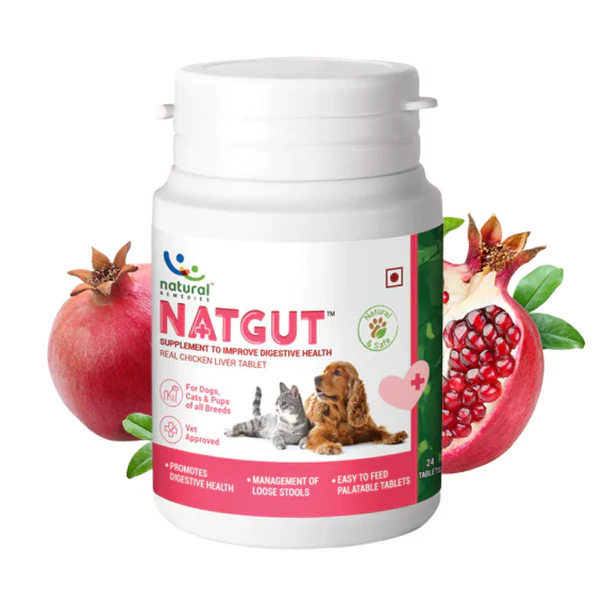 Natural Solutions for Cats and Dogs' Natgut Digestive Tablets Natural Solutions for Cats and Dogs Natgut Digestive Tablets - Image 1