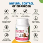 Natural Solutions for Cats and Dogs Natgut Digestive Tablets - Image 4
