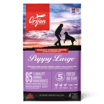 Orijen Dry Food for Large Puppies