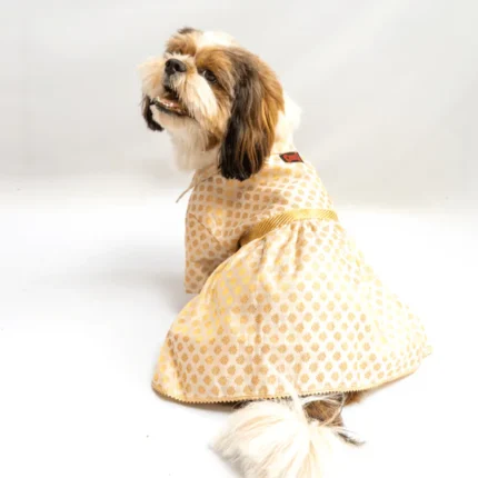 Pawgypets Dog and Cat Occasion Wear Dress (White)