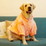 Pawgypets Fur Sweater for Dogs and Cats (Orange) - Image 4