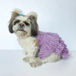 Pawgypets Lehriya Dog and Cat Clothes (Purple)