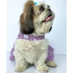 Pawgypets Lehriya Dog and Cat Clothes (Purple) - Image 2