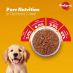 Pedigree Wet Dog Food with Chicken and Liver Chunks in Gravy - Image 4