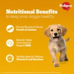 Pedigree Wet Dog Food with Chicken and Liver Chunks in Gravy - Image 5