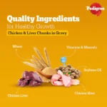Pedigree Wet Dog Food with Chicken and Liver Chunks in Gravy - Image 4