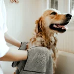 Quick Dry Towel for Dogs and Cats by Talking Dog Club (Grey) - Image 6