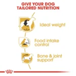 Royal Canin Beagle Dry Food for Adult Dogs - Image 4