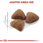 Royal Canin Dry Food for Indoor Adult Cats - Image 3