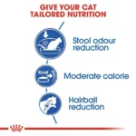 Royal Canin Dry Food for Indoor Adult Cats - Image 4