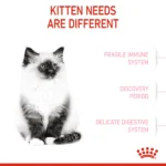 Royal Canin Dry Food for Kittens and Cats - Image 3