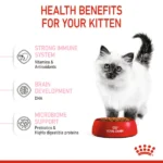 Royal Canin Dry Food for Kittens and Cats - Image 4