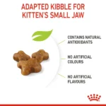 Royal Canin Dry Food for Kittens and Cats - Image 6
