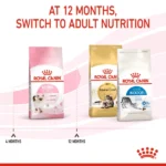 Royal Canin Dry Food for Kittens and Cats - Image 7
