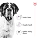 Royal Canin Giant Dry Food for Adult Dogs - Image 5