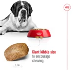 Royal Canin Giant Dry Food for Adult Dogs - Image 4