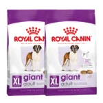 Royal Canin Giant Dry Food for Adult Dogs - Image 2