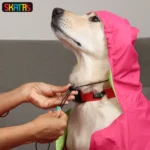 Skatrs Complete Coverage Dog and Cat Raincoat in the Cape Style (Pink) - Image 3