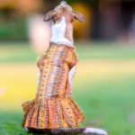 Skatrs Dog and Cat Printed Cotton Dress - Image 2