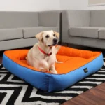 Skatrs Dog and Cat Square-Shaped Bed (Orange & Blue) - Image 2