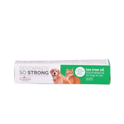 Strong Dentapaste and Brush for Dogs and Cats by BI Grooming