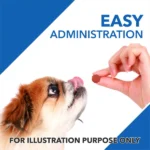 Tablets of Drools Absolute Vitamin Supplement for Dogs - Image 3