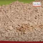 The Finest Original Cat Litter Without Fragrances - Image 5